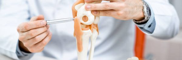 Close-up of the therapist showing knee joint model during the medical consultation