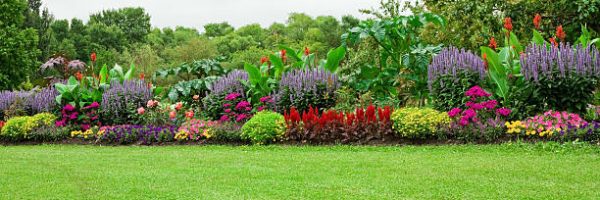 Green lawn and landscaped formal garden.