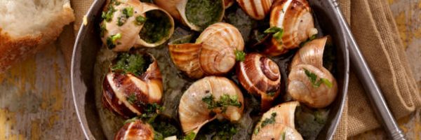 "Escargot in a Herb Butter, White Wine and Garlic Sauce with Fresh Parsley and Crusty French Bread -Photographed on Hasselblad H3D2-39mb Camera"