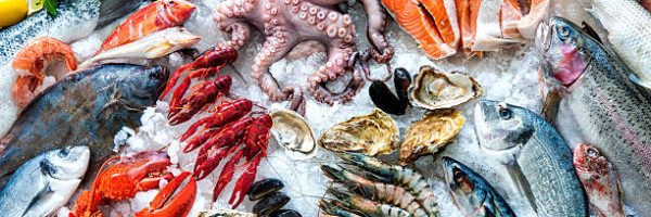 Seafood on ice at the fish market